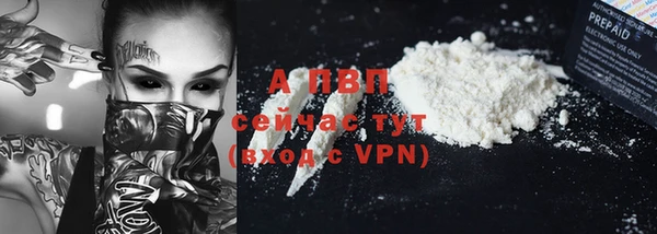 тгк Вяземский