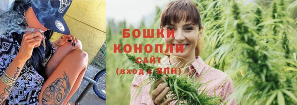 тгк Вяземский
