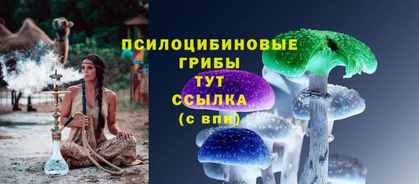 гидра Наволоки